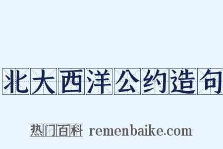北大西洋公约造句是什么意思的图片
